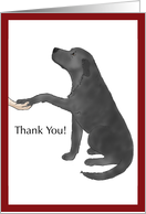 Thank You - Black Lab Dog Puts Paw in Hand card