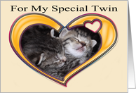 For My Special Twin kittens card