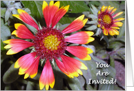 Invitation to Join a Gardening Club card