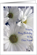 May Birthday to Friend, daisies card