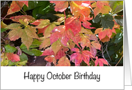 Birthday In October Autumn Leaves card