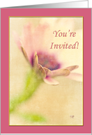 Lavender Bordered Floral Invitation Card
