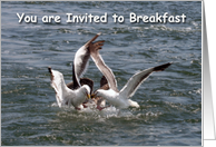 You are invited to breakfast seagulls card