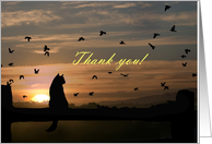 Thank you Veterinarian Cat in Sunset card