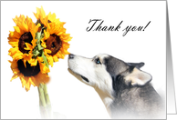 Thank you Veterinarian Happy Husky Dog with Sunflowers card