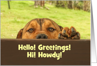 Hi Hello Customizable Puppy Looking over Fence card