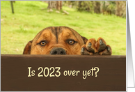 New Year 2024 Funny Is 2023 Over Yet Dog Looking Over Fence Cautious card