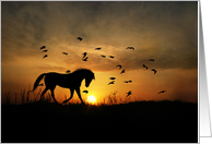 Horse Thank You, Pretty Trotting Horse and Sunset Thanks card