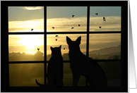 Cute Cat & Dog Watching Sunset Through Window Missing You card