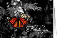 Thank you for your donation in memory of Monarch Butterfly card