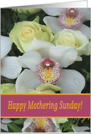 Happy Mothering Sunday Card - White Orchid card