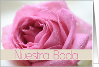Nuestra Boda Spanish Wedding Invitation Pink Rose card