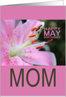 Mom Happy May Birthday Tigerlily May Birth Month Flower card