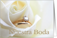 Spanish Wedding Invitation - Nuestra Boda - Bridal set in white rose card