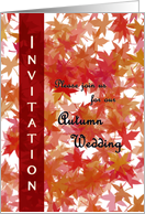 Autumn wedding invitation - maple leaves card