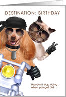 Funny Motorcycle Rider Birthday with Cat and Dog card
