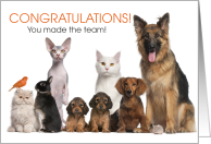 You Made the Team! Congratulations Pet Lover card