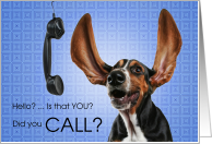 Hello? Funny Basset Hound Dog with a Phone card