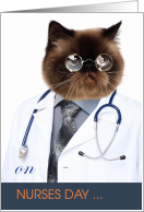 Happy Nurses Day from a Funny Doctor Cat card