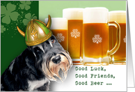 St. Patrick’s Day Party Invitation with Funny Viking Dog card
