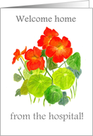 Welcome Home from Hospital Nasturtiums card