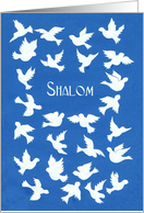 White Doves Passover Card - Shalom card