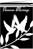 Passover Holiday Black and White Dove Silhouettes Card