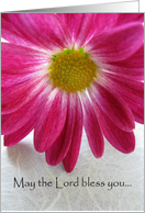 Wedding Congratulations--religious, pink flower card