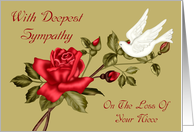 Sympathy For Loss Of Niece wit a Beautiful White Dove and a Red Rose card