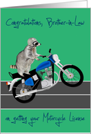 Congratulations, Brother-in-Law getting Motorcycle License, Raccoon card