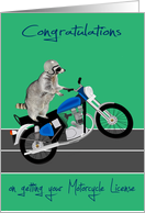 Congratulations, General, getting Motorcycle License, Raccoon, helmet card