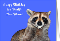 Birthday To Class Parent, Raccoon smiling with pearly white dentures card