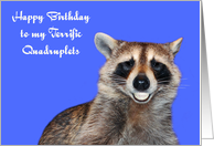 Birthday To Quadruplets, Raccoon smiling with pearly white dentures card