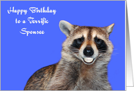 Birthday To Sponsee, Raccoon smiling with pearly white dentures, blue card