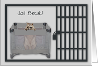 Jail Break, A cute raccoon looking out from his playpen behind bars card