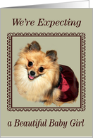 Announcements, We’re Expecting A Girl, Pomeranian smiling in dress card