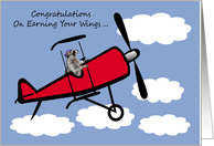 Congratulations On Becoming A Pilot with a Raccoon In An Airplane card