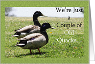 Wedding Anniversary Invitation - Old Quacks card