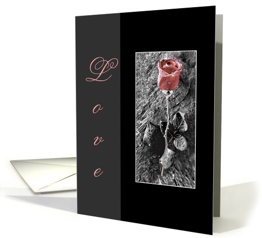 Love To Significant Other Rose card (605468)