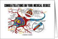 Congratulations On Your Medical Degree (Neuron / Synapse) card