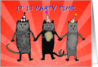 Invitation to divorce party,cats.humor PARTY HATS card