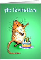 An Invitation to Cats Birthday Party, crazy cat and cake with candles. card