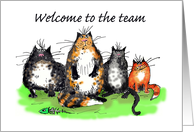 Welcome to the team, cats, humour card