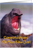 Congratulations On your New Job Dentist greeting card,sea elephant card
