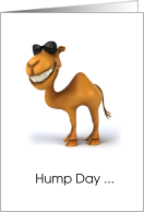 Cool Camel Hump Day Card