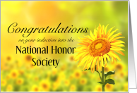 Congratulations, Induction into Nation Honor Society, Sunflower card