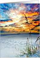 Sea Oats before Fire Red Florida Beach Sunset card