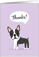 Boston terrier dog saying thank you card