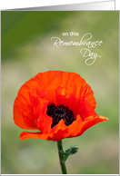 Remembrance Day Card - Red Poppy card