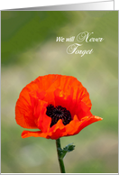 We will Never Forget - Remembrance Day Card - Red Poppy card